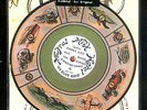 NEUTRAL MILK HOTEL 'Holland' Rare Picture Disc 7