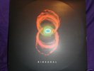 Pearl Jam Binaural double Vinyl Record - RARE