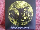 COLD SUN Dark Shadows LP Texas Psych Rockadelic