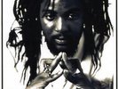 YAMI BOLO - free mandela 12
