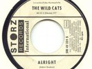 Deutscher Beat-Rare PROMO-Single -The WILD CATS- Storz