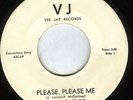 BEATLES  WHITE LABEL VJ VEE JAY PLEASE PLEASE