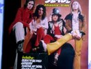 Beginnings of SLADE Ambrose Slade
