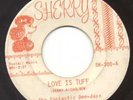 The Fantastic Dee-Jays on SHERRY, 45 RPM, GARAGE