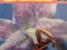 SXL 2042 STRAVINSKY-THE RITE OF SPRING, ANSERMET( ED1)