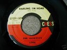  THE MANDELLS DARLING I'M HOME DOO WOP DJ NM 1961