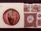 CAPTAIN BEEFHEART psych Safe as Milk orig MINT 