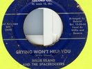 60S RARE ST LOUIS BLUES WILLIE&SPACE ROCKERS  HEAR IT