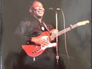 Orignal Muddy Waters & Rolling Stones Swingin Pig unbe.