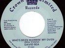 David Sea Who's Been Warming Crown soul 45 Birmingham