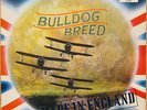 BULLDOG BREED 