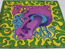 THE SACRED MUSHROOM original Parallax psych lp M-