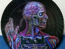 TOOL 'Lateralus' RARE Promo Picture Disc LP Ltd. 500