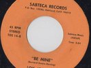 Rare Modern Soul 45:  LOIS JOHNSON on SABTECA (M-)