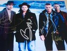 U2  group signed original 10x8 photo AUTOGRAPH
