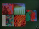 BRIAN JONESTOWN MASSACRE 5 VERY RARE MINT 7