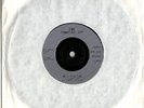 DUMPYS RUSTY NUTS - RUN RUN RUN Unreleased 7