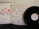 MUSHROOM 'EARLY ONE MORNING' IRISH HEAVY PROG/FOLK LP