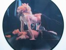 EROTIC MADONNA 12