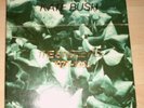 Kate Bush  'The Single File 1978-1983' Boxed set  MINT