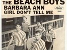 THE BEACH BOYS 45 RARE PICTURE SLEEVE ONLY -BARBARA ANN