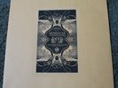 meneguar test press black dice animal collective sunn