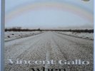 VINCENT GALLO    WHEN     ORIG LP US 2001 LTD ED   MINT