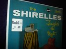 NM SHRINK W/ PRICE TAG RARE STEREO SHIRELLES LP Doo WoP