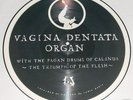 VAGINA DENTATA ORGAN - 