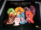 THE WILD MAGNOLIAS : THEY CALL US WILD LP 1975 BARCLAY