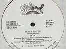 SKYY/HERE'S TO YOU/SALSOUL/WHITE LABEL PROMO