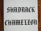 SHADRACK: Chameleon Orig US PSYCH , MINT