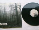 THE CURE,12 INCH, A FOREST,IN PICTURE SLEEVE,FICSX 10