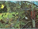 DRAGONFLY RARE PSYCHE ALBUM  Megaphone Records
