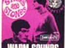 WARM SOUNDS Immediate RARE sunshine pop psych 45 LISTEN