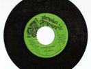 VICTORIUS STEPPERS/SHADDAI CHILDREN - THE VICEROYS 7