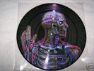 TOOL - Lateralus Picture Disc - rare PROMO vinyl 12