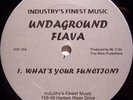 Undaground flava - What's your function..RARE INDIE...