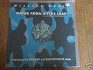 WILLIAM ORBIT Water From A Vine Leaf 12