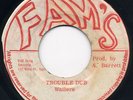 WAILERS-TROUBLE ON THE ROAD- FAMS-RARE  REGGAE 45 7