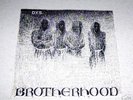 DYS Brotherhood LP 1983 RARE Orig Punk KBD HC sXe
