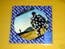 PINK FLOYD - Delicate sound of thunder BRAZIL PICTURE