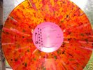 Dylan & Young SNACK 1975 Multi Colored wax 