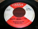Northern Soul 45 Frankie and the Classicals CALLA HEAR
