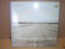 VINCENT GALLO - WHEN - on WARP - HARDBOUND COVER
