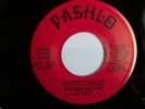 BRENDA VAUGHN - NATURES CALLING - PASHLO BOOGIE 45