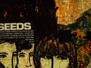 THE SEEDS- FUTURE RARE 1967 WLP MONO PSYCH LP w/INSERTS