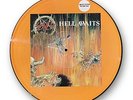 SLAYER HELL AWAITS PICTURE DISC 1985 ORIGINAL