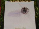 THE GATHERING  --  nighttime birds  --  LP