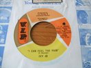 Ivy Jo (Hunter) - I Can Feel The Pain 1970 USA 45 V.I.P